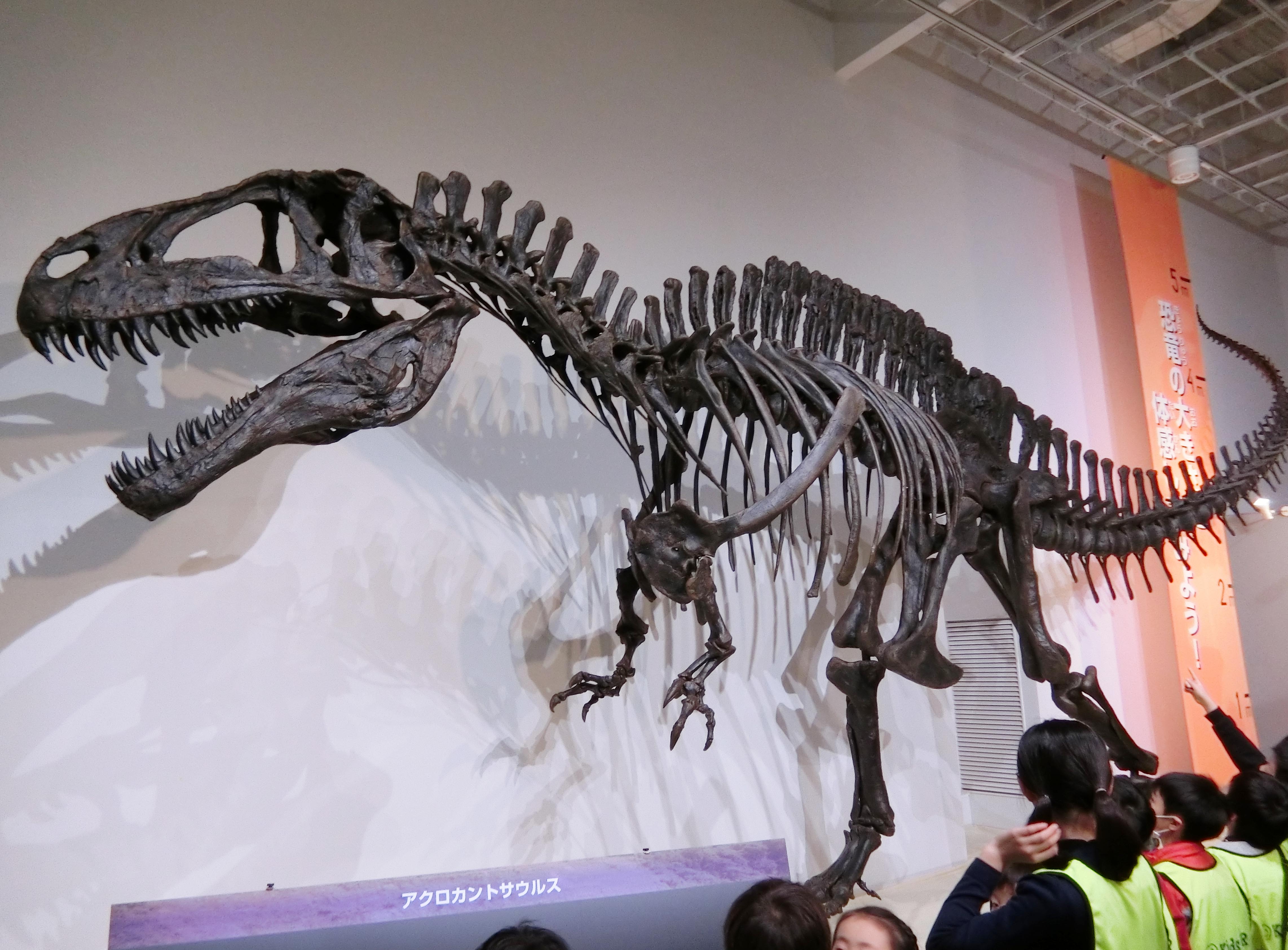 ☆ブログ読者プレゼントあり☆ 福岡市科学館で特別展「恐竜 DINOSAUR