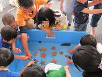 移動水族館.jpg