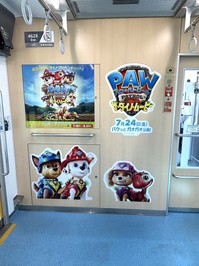 IMG_7750.jpeg